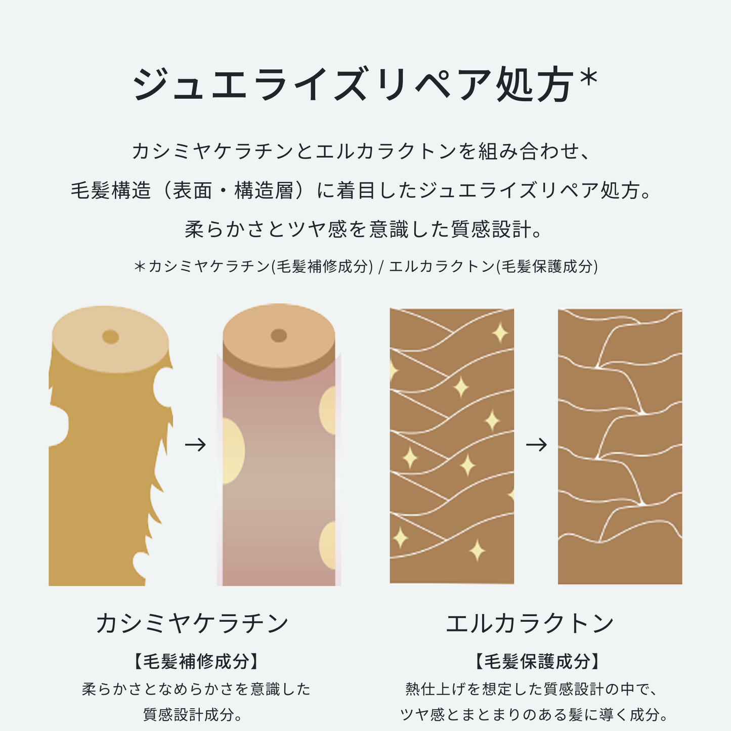 Cashmere シャンプー 1,000mL
