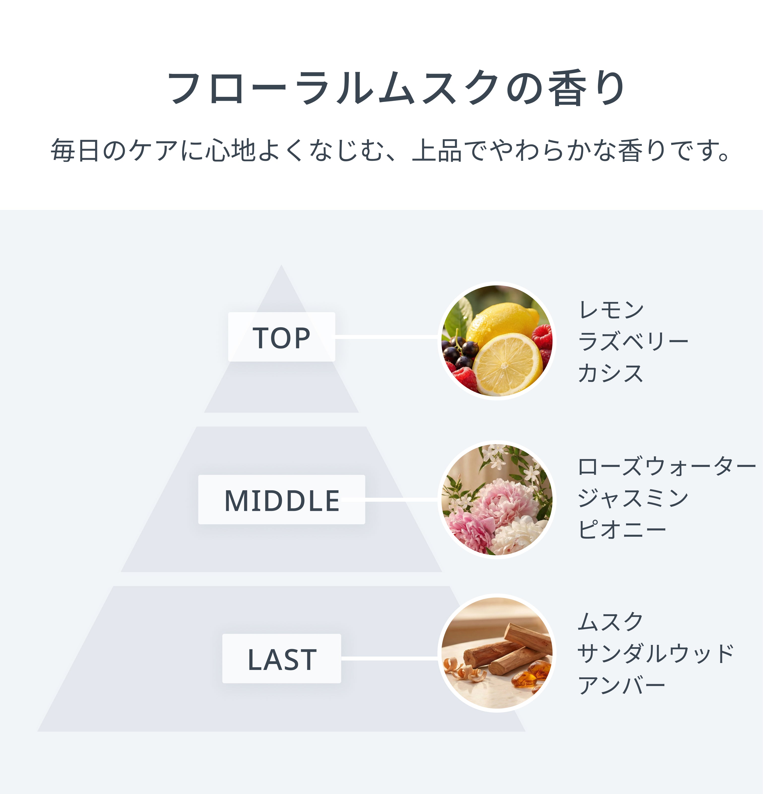 セット】リカバリーシャンプー・リカバリートリートメント – LOWBAL STORE