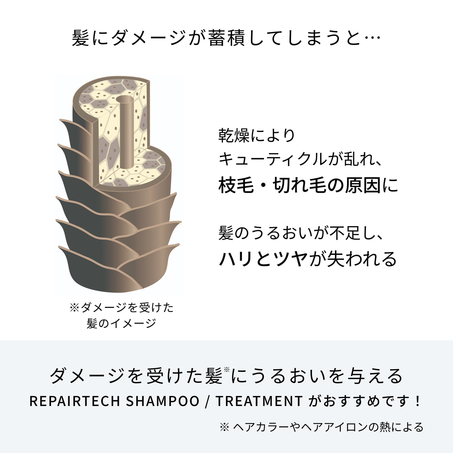 リペアテックシャンプー