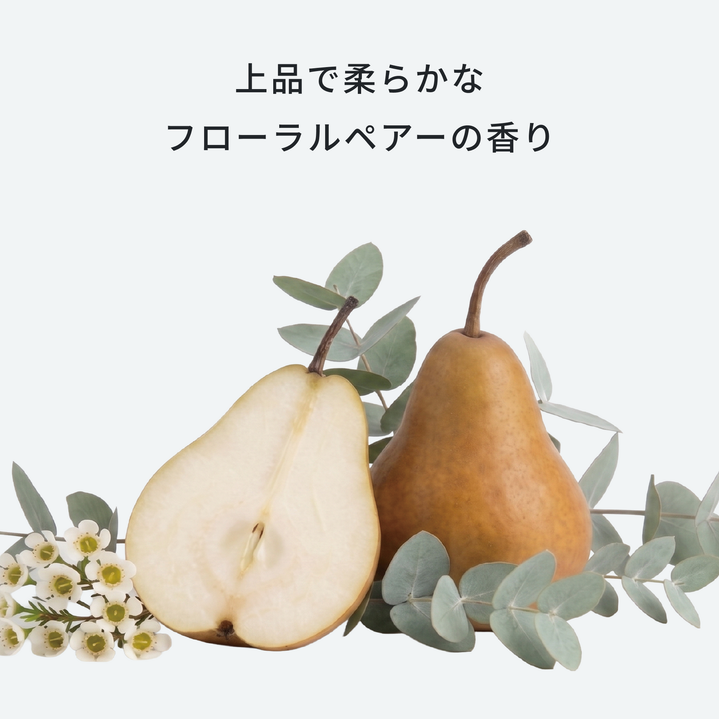 CHROMATECH カラーシャンプー ピンク 200ml